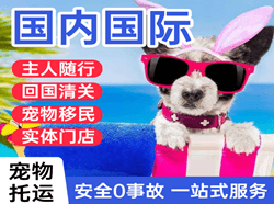 北海航空托运国际宠物托运 【国